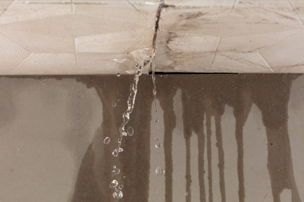 Professional Sewage Cleanup technician working in Mandeville, LA